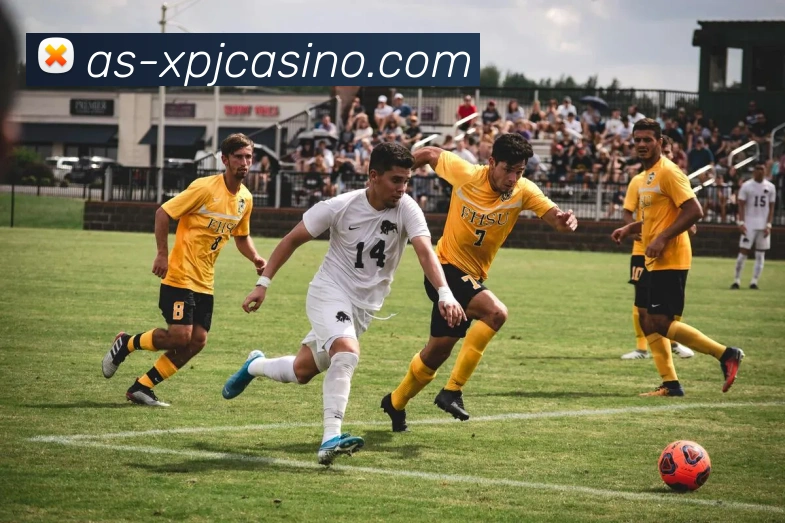 澳门新葡京娱乐全站App